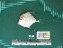  ( - DBMF-M562)  @11 [ ] Unspecified (default): All Rights Reserved  Unspecified Unspecified