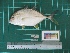  ( - DBMF-M565)  @14 [ ] Unspecified (default): All Rights Reserved  Unspecified Unspecified