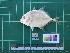 ( - DBMF-M589)  @13 [ ] Unspecified (default): All Rights Reserved  Unspecified Unspecified