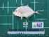  ( - DBMF-M591)  @12 [ ] Unspecified (default): All Rights Reserved  Unspecified Unspecified