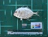  ( - DBMF-M594)  @11 [ ] Unspecified (default): All Rights Reserved  Unspecified Unspecified