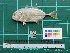  ( - DBMF-M634)  @13 [ ] Unspecified (default): All Rights Reserved  Unspecified Unspecified