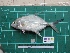  ( - DBMF-M657)  @13 [ ] Unspecified (default): All Rights Reserved  Unspecified Unspecified