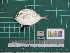  ( - DBMF-M699)  @14 [ ] Unspecified (default): All Rights Reserved  Unspecified Unspecified