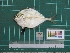  ( - DBMF-M701)  @12 [ ] Unspecified (default): All Rights Reserved  Unspecified Unspecified