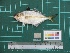  ( - DBMF-M709)  @13 [ ] Unspecified (default): All Rights Reserved  Unspecified Unspecified