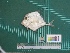  ( - DBMF-M725)  @11 [ ] Unspecified (default): All Rights Reserved  Unspecified Unspecified
