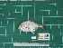  ( - DBMF-M738)  @14 [ ] Unspecified (default): All Rights Reserved  Unspecified Unspecified