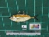  ( - DBMF-M747)  @13 [ ] Unspecified (default): All Rights Reserved  Unspecified Unspecified