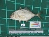  ( - DBMF-M762)  @14 [ ] Unspecified (default): All Rights Reserved  Unspecified Unspecified