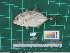 ( - DBMF-M763)  @13 [ ] Unspecified (default): All Rights Reserved  Unspecified Unspecified