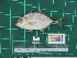  ( - DBMF-M764)  @13 [ ] Unspecified (default): All Rights Reserved  Unspecified Unspecified