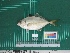  ( - DBMF-M769)  @13 [ ] Unspecified (default): All Rights Reserved  Unspecified Unspecified