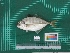  ( - DBMF-M770)  @13 [ ] Unspecified (default): All Rights Reserved  Unspecified Unspecified