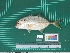  ( - DBMF-M772)  @11 [ ] Unspecified (default): All Rights Reserved  Unspecified Unspecified