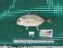  ( - DBMF-M775)  @11 [ ] Unspecified (default): All Rights Reserved  Unspecified Unspecified