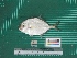  ( - DBMF-M792)  @11 [ ] Unspecified (default): All Rights Reserved  Unspecified Unspecified