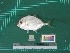  ( - DBMF-M793)  @15 [ ] Unspecified (default): All Rights Reserved  Unspecified Unspecified