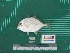  ( - DBMF-M794)  @11 [ ] Unspecified (default): All Rights Reserved  Unspecified Unspecified