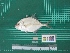  ( - DBMF-M796)  @11 [ ] Unspecified (default): All Rights Reserved  Unspecified Unspecified