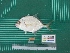  ( - DBMF-M798)  @13 [ ] Unspecified (default): All Rights Reserved  Unspecified Unspecified
