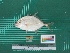  ( - DBMF-M799)  @13 [ ] Unspecified (default): All Rights Reserved  Unspecified Unspecified