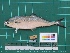 ( - DBMF-M801)  @14 [ ] Unspecified (default): All Rights Reserved  Unspecified Unspecified