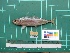  ( - DBMF-M838)  @13 [ ] Unspecified (default): All Rights Reserved  Unspecified Unspecified
