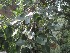  ( - TEP-05)  @11 [ ] Copyright (2013) PHCDBS Paul Hebert Center for DNA Barcoding and Biodiversity Studies