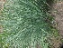  ( - MP4346)  @11 [ ] Copyright (2015) PHCDBS Paul Hebert Centre For DNA Barcoding And Biodiversity Studies