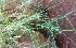  ( - MP4599)  @11 [ ] Copyright (2015) PHCDBS Paul Hebert Centre For DNA Barcoding And Biodiversity Studies