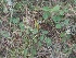  ( - MP4646)  @11 [ ] Copyright (2015) PHCDBS Paul Hebert Centre For DNA Barcoding And Biodiversity Studies