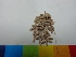  ( - MP853)  @11 [ ] Copyright (2013) PHCDBS Paul Hebert Centre for DNA Barcoding and Biodiversity Studies