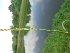  ( - MP907)  @11 [ ] Copyright (2013) PHCDBS Paul Hebert Centre for DNA Barcoding and Biodiversity Studies