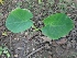  ( - MP1019)  @11 [ ] Copyright (2013) PHCDBS Paul Hebert Centre for DNA Barcoding and Biodiversity Studies
