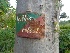  ( - MP1348.1)  @11 [ ] Copyright (2013) PHCDBS Paul Hebert Centre for DNA Barcoding and Biodiversity Studies