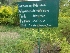  ( - MP1438)  @11 [ ] Copyright (2013) PHCDBS Paul Hebert Centre for DNA Barcoding and Biodiversity Studies