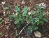  ( - MP5707)  @11 [ ] Copyright (2015) G D Khedkar Paul Hebert Centre For DNA Barcoding And Biodiversity Studies