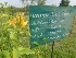  ( - MP1435)  @11 [ ] Copyright (2013) PHCDBS Paul Hebert Centre for DNA Barcoding and Biodiversity Studies