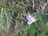  ( - MP1527)  @11 [ ] Copyright (2013) PHCDBS Paul Hebert Centre for DNA Barcoding and Biodiversity Studies