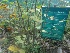  ( - MP1716)  @11 [ ] Copyright (2013) PHCDBS Paul Hebert Centre for DNA Barcoding and Biodiversity Studies