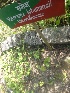  ( - MP1745)  @11 [ ] Copyright (2013) PHCDBS Paul Hebert Centre for DNA Barcoding and Biodiversity Studies
