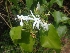  ( - MP2104)  @11 [ ] Copyright (2014) G.D. Khedkar Paul Hebert Centre For DNA Barcoding And Biodiversity Studies
