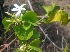  ( - MP2144)  @11 [ ] Copyright (2014) PHCDB Paul Hebert Centre For DNA Barcoding And Biodiversity Studies