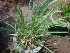  ( - MP2262)  @11 [ ] Copyright (2014) PHCDB Paul Hebert Centre For DNA Barcoding And Biodiversity Studies
