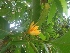  ( - MP2346)  @11 [ ] Copyright (2014) PHCDB Paul Hebert Centre For DNA Barcoding And Biodiversity Studies