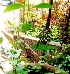  ( - MP2358)  @11 [ ] Copyright (2014) PHCDB Paul Hebert Centre For DNA Barcoding And Biodiversity Studies