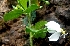  ( - MP3071)  @11 [ ] Copyright (2014) PHCDBS Paul Hebert Centre For DNA Barcoding And Biodiversity Studies