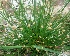  ( - MP3244)  @11 [ ] Copyright (2014) PHCDBS Paul Hebert Centre For DNA Barcoding And Biodiversity Studies