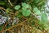  ( - MP3238)  @11 [ ] Copyright (2014) PHCDBS Paul Hebert Centre For DNA Barcoding And Biodiversity Studies